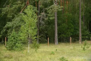 Pokochaj na nowo skandynawską aranżację!