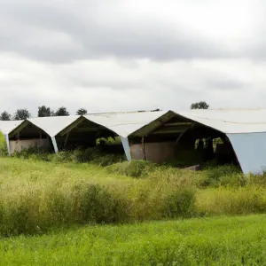 Farby do malowania dachu